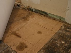 Floor1-8435.jpg