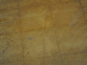 Floor2_0046.jpg