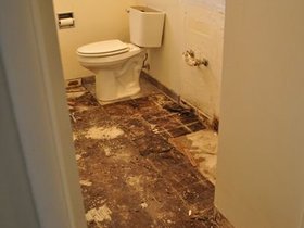 GuestBath_2294.jpg